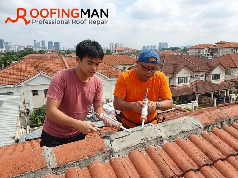 Roof Maintenance work example 2